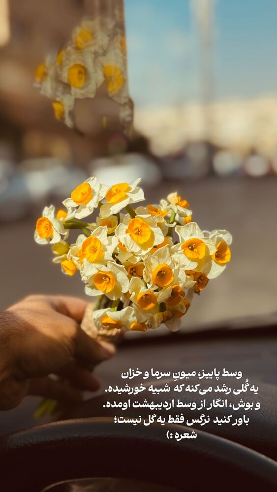  جدید ترین استوری اینستاگرام علی سلطانی