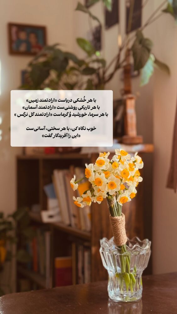  جدید ترین استوری اینستاگرام علی سلطانی