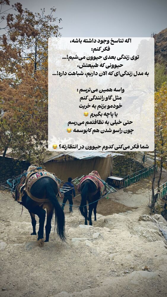  جدید ترین استوری اینستاگرام علی سلطانی