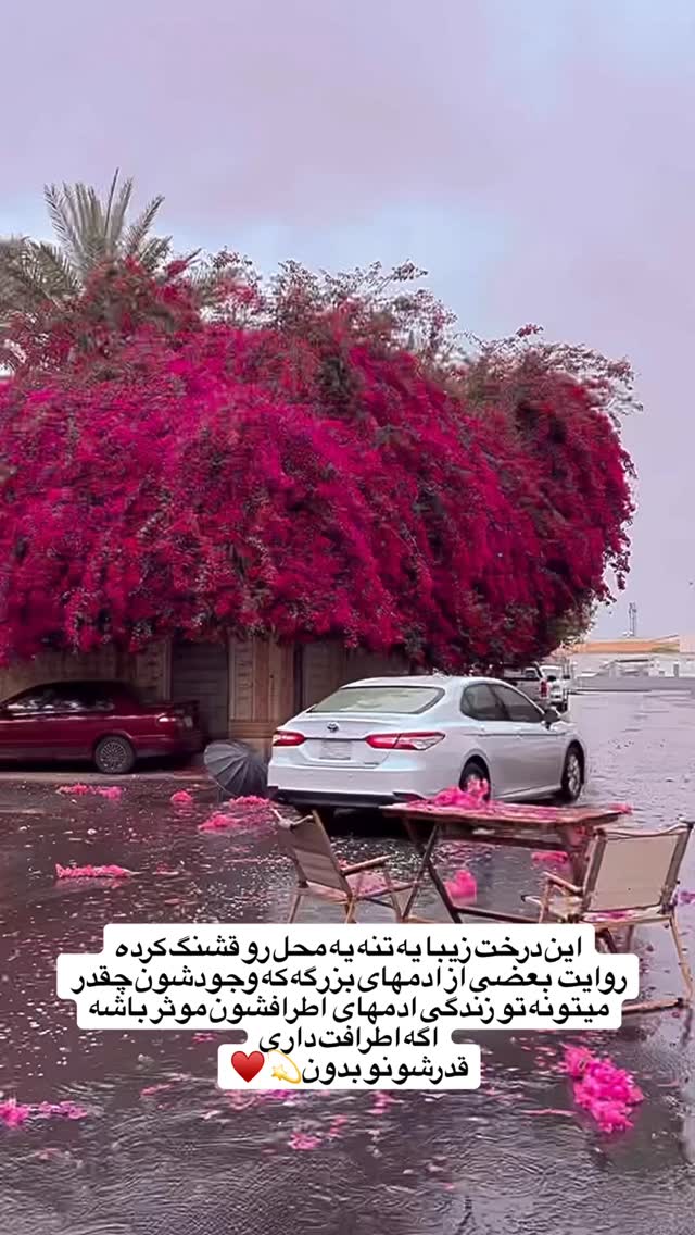  جدید ترین استوری اینستاگرام علی لهراسبی