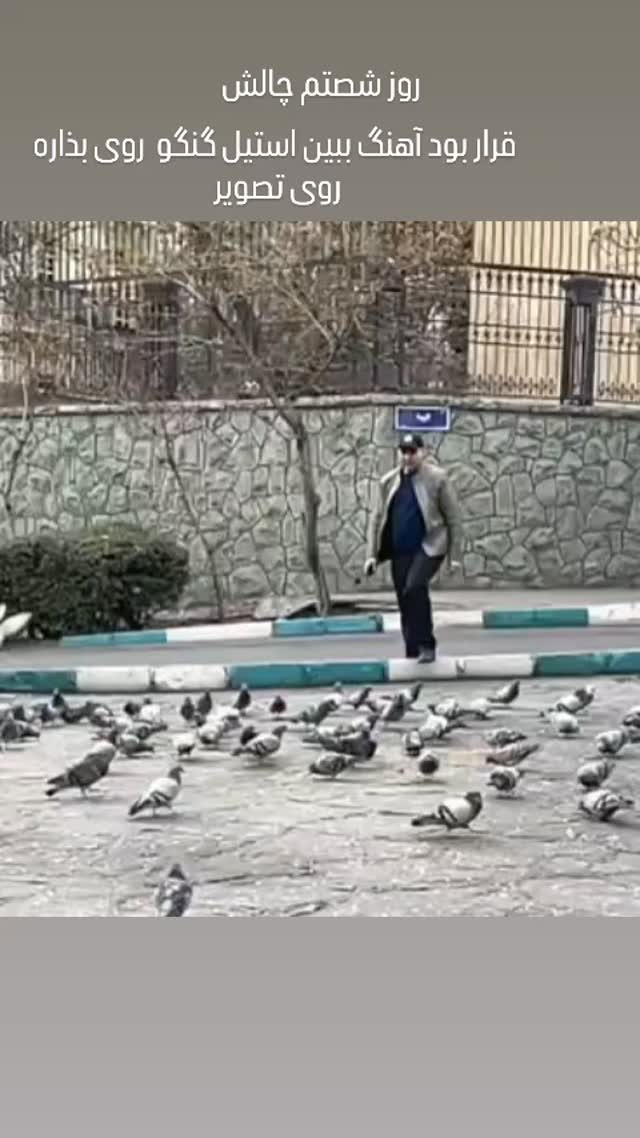  جدید ترین استوری اینستاگرام علی مشهدی