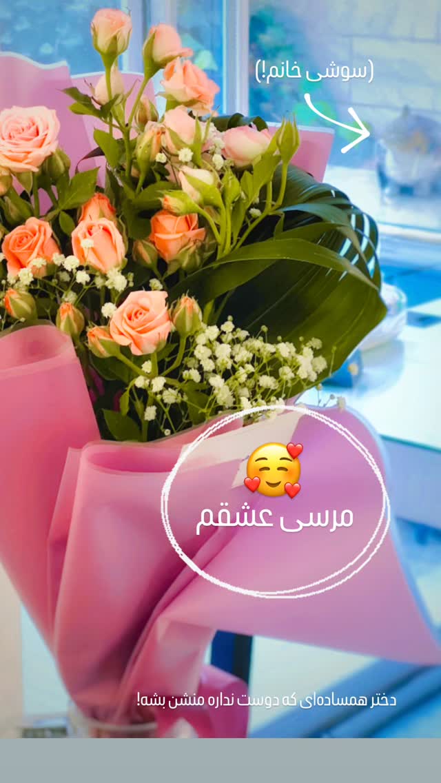  جدید ترین استوری اینستاگرام علی میری
