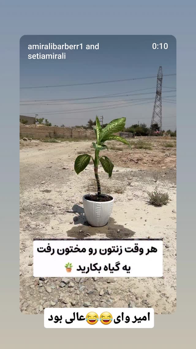  جدید ترین استوری اینستاگرام علیراد