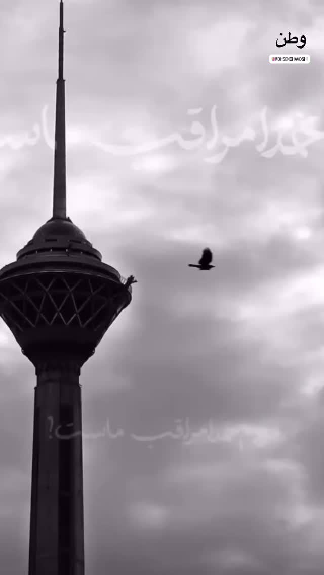  جدید ترین استوری اینستاگرام علی نعمتی