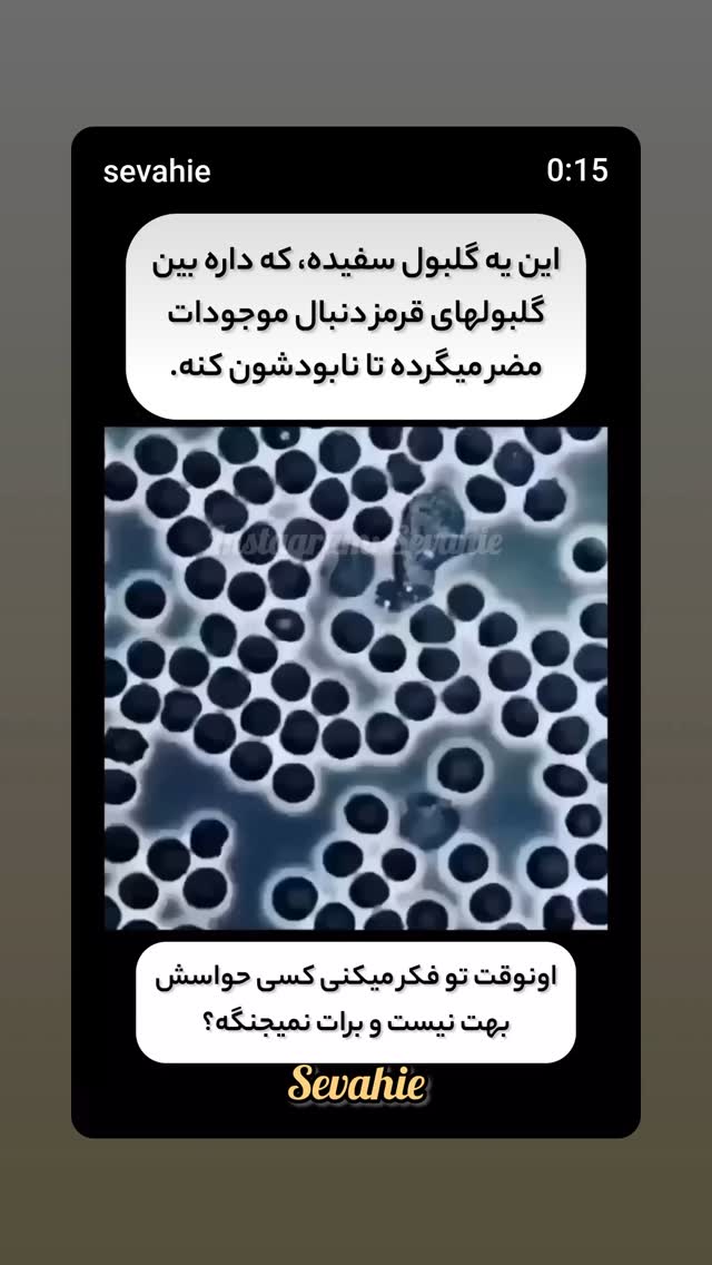  جدید ترین استوری اینستاگرام علی نیک رفتار