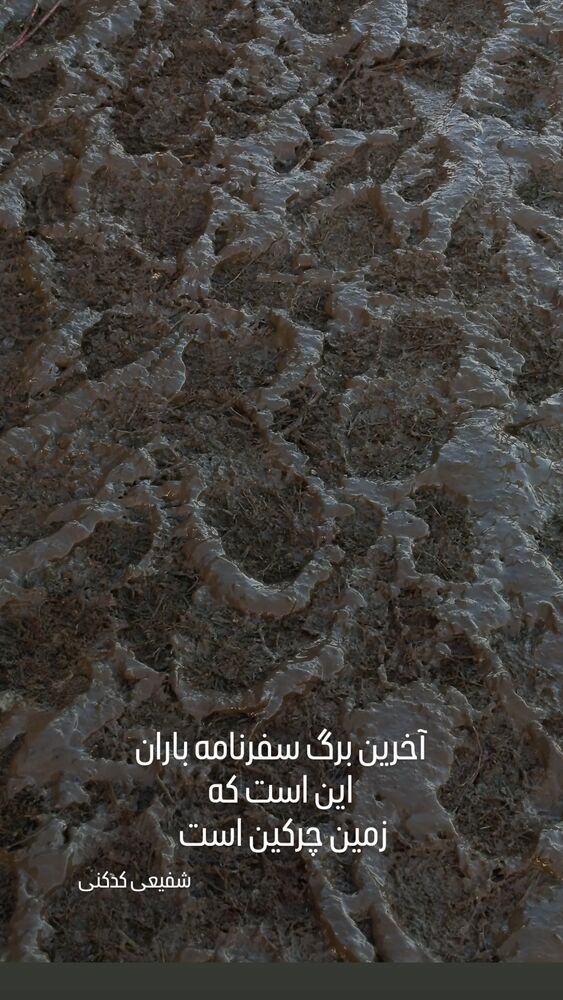  جدید ترین استوری اینستاگرام علی نیک رفتار