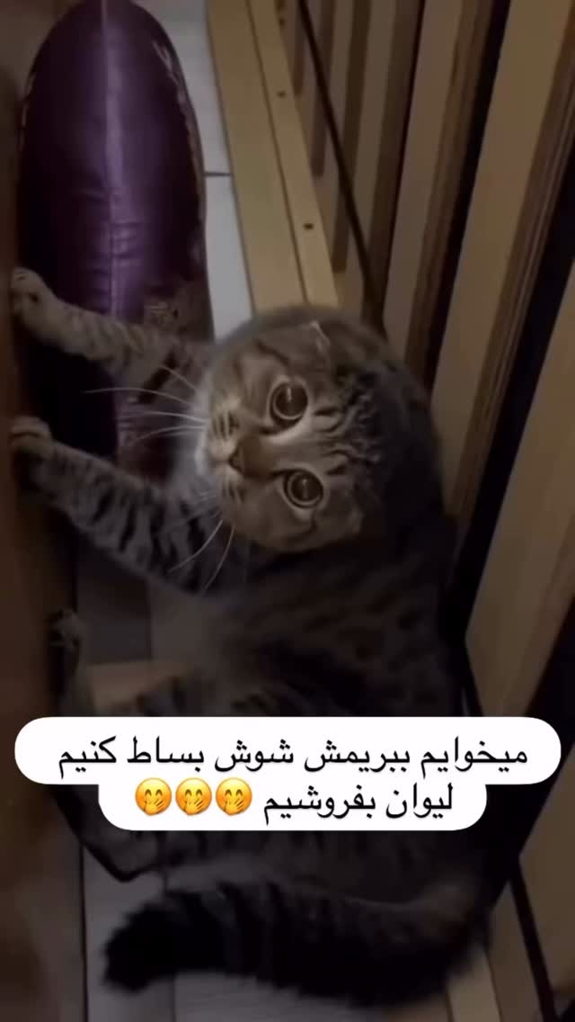  جدید ترین استوری اینستاگرام علیرضا وارسته