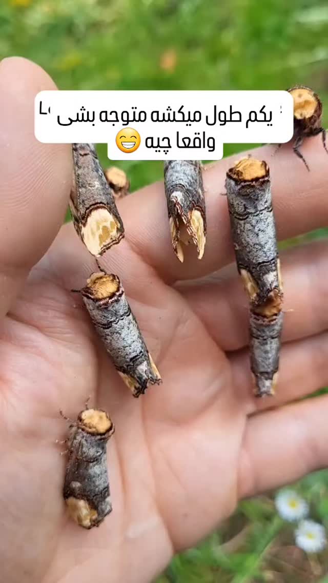  جدید ترین استوری اینستاگرام علیرضا وارسته