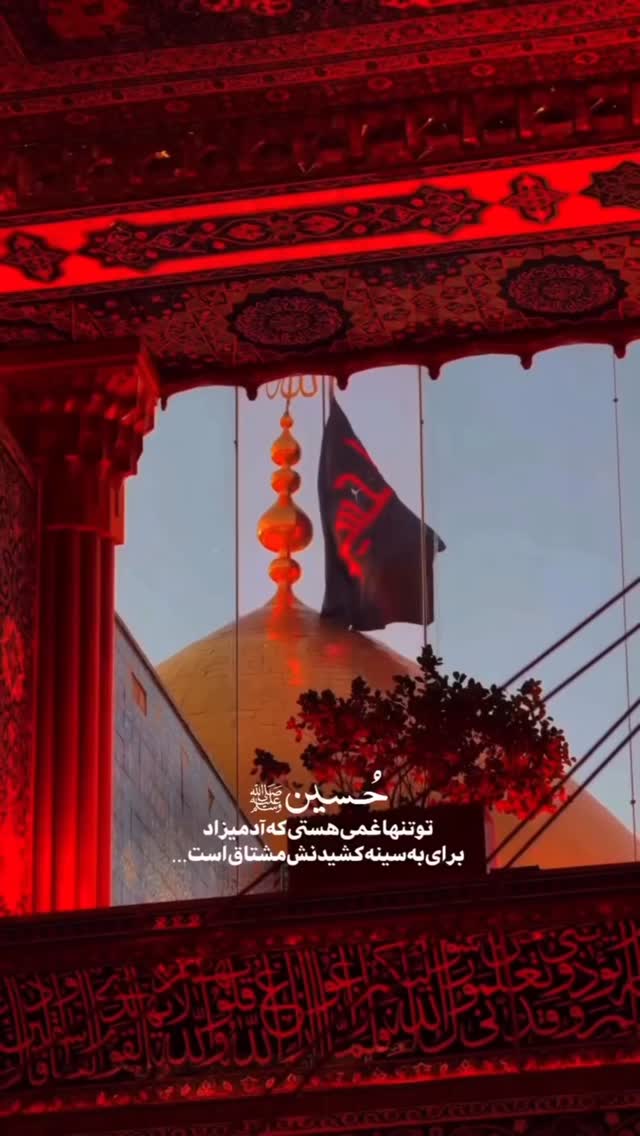  جدید ترین استوری اینستاگرام علیرضا افضلی