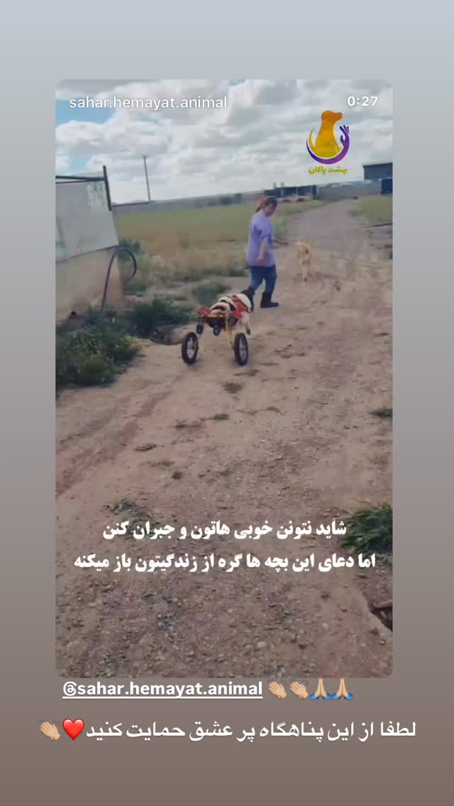  جدید ترین استوری اینستاگرام علیرضا آرا