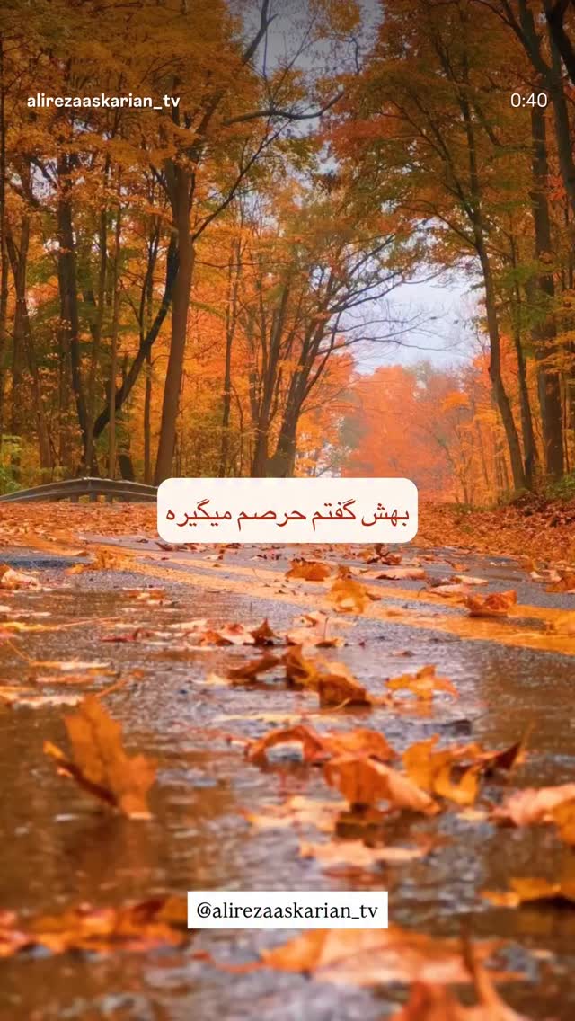  جدید ترین استوری اینستاگرام علیرضا عسکریان