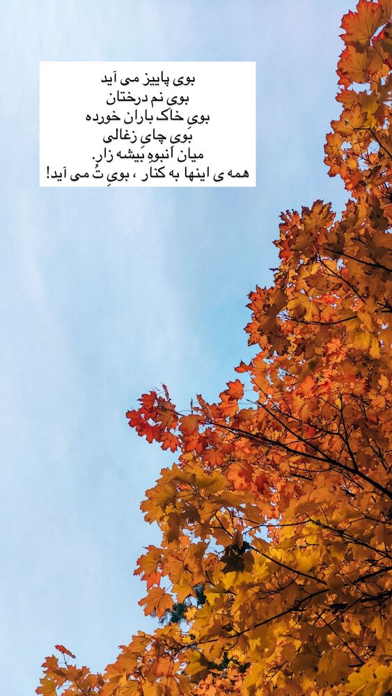  جدید ترین استوری اینستاگرام علیرضا عسکریان