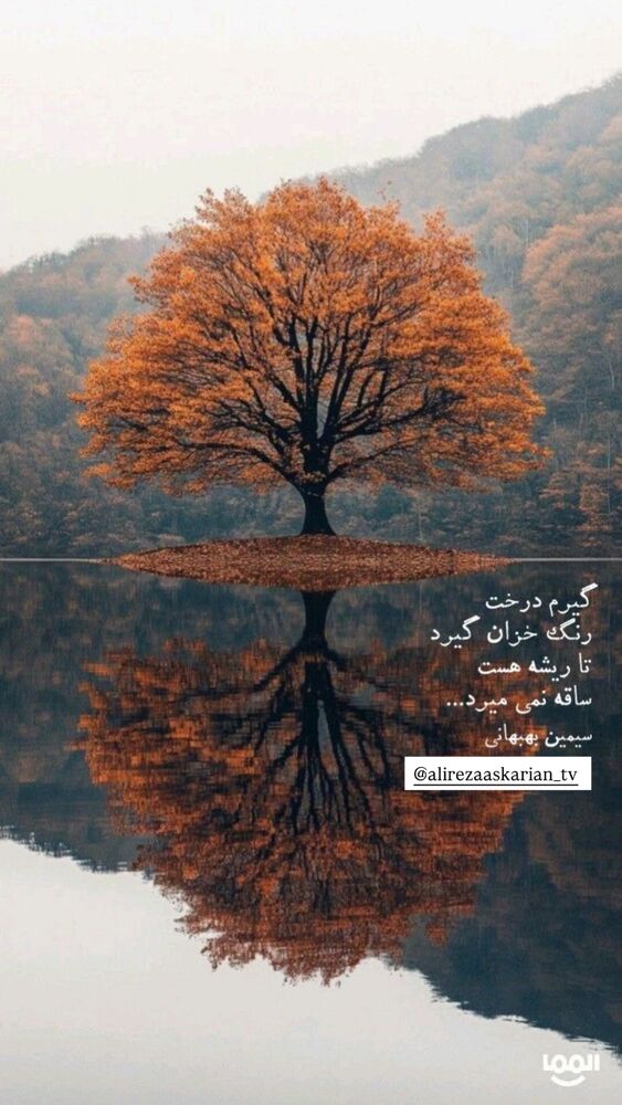  جدید ترین استوری اینستاگرام علیرضا عسکریان