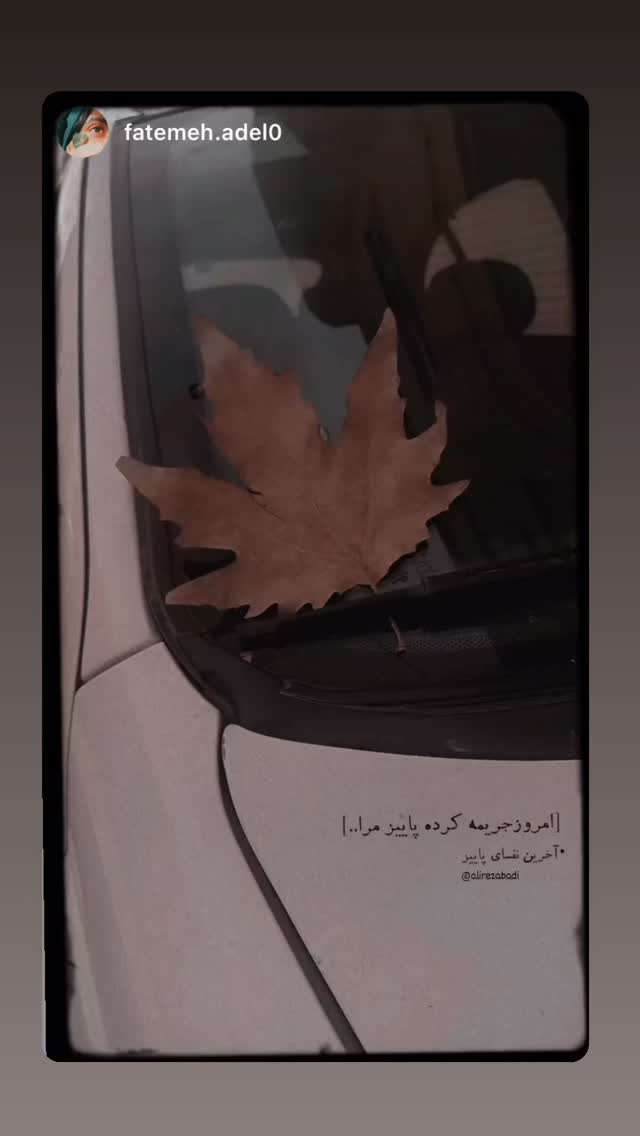  جدید ترین استوری اینستاگرام علی رضا بدیع