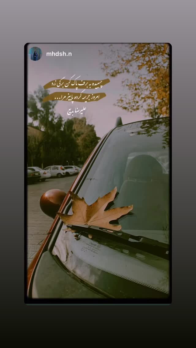  جدید ترین استوری اینستاگرام علی رضا بدیع