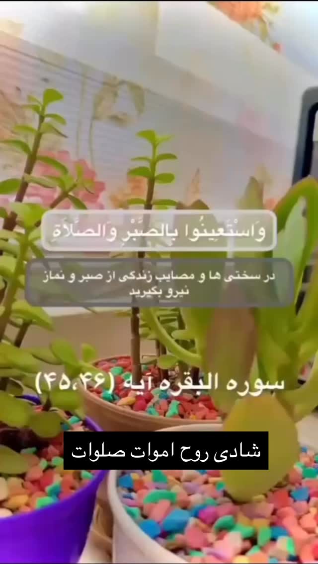  جدید ترین استوری اینستاگرام علیرضا استکی