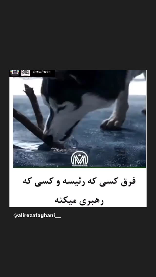  جدید ترین استوری اینستاگرام علیرضا فغانی