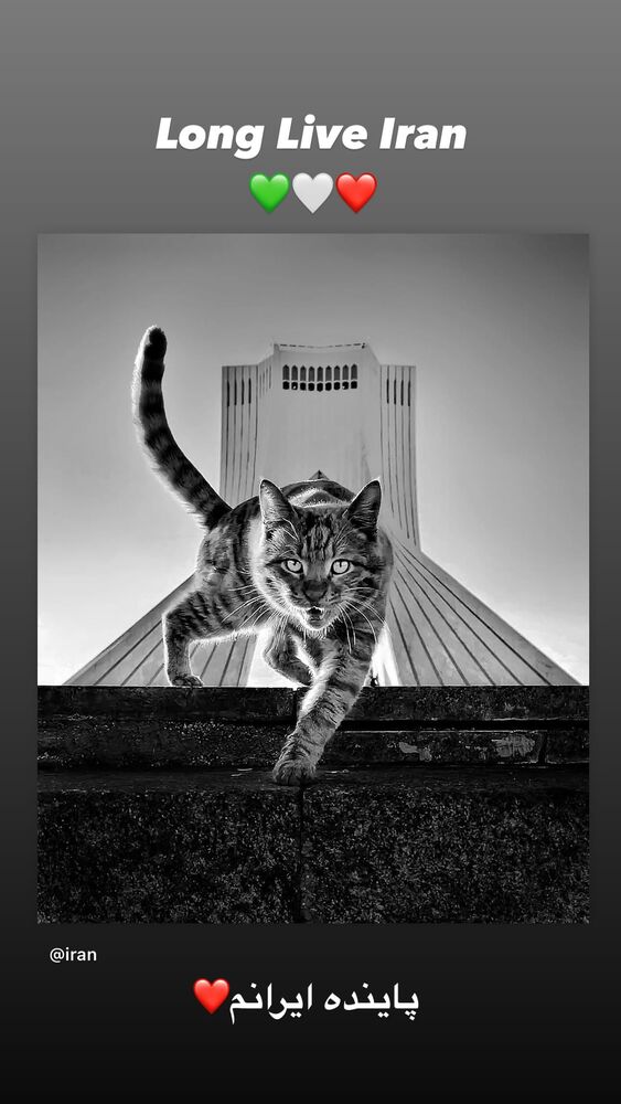  جدید ترین استوری اینستاگرام علیرضا جهانبخش