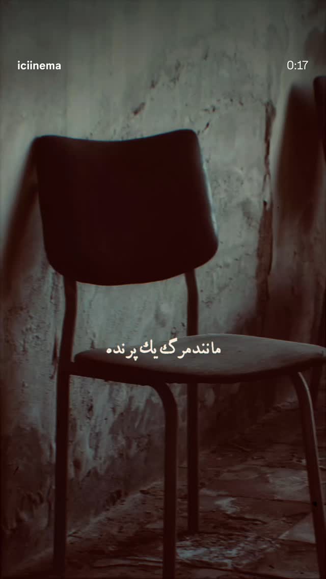 جدید ترین استوری اینستاگرام علیرضا معیدی