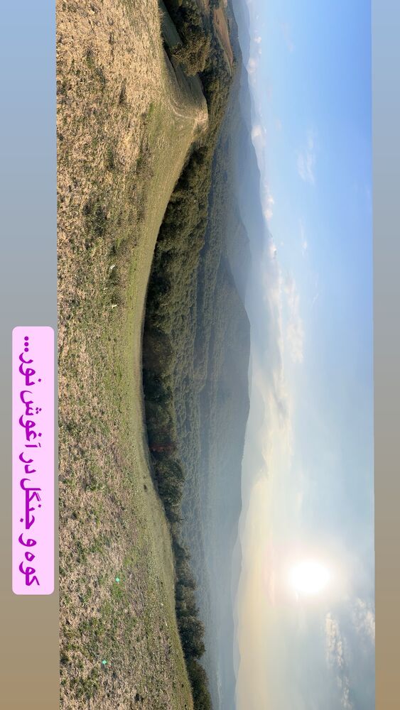  جدید ترین استوری اینستاگرام علیرضا نجف زاده