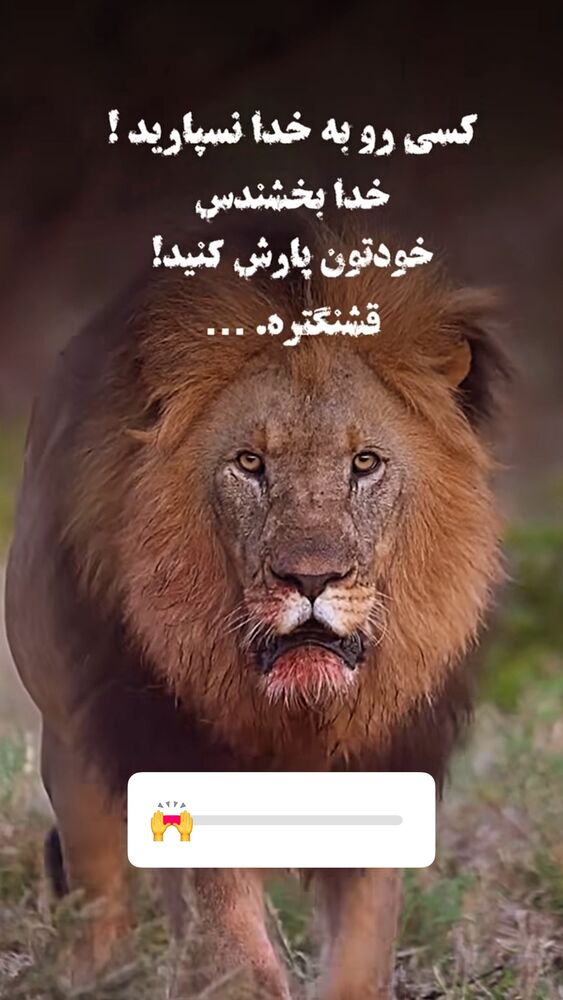  جدید ترین استوری اینستاگرام علیرضا نیکبخت
