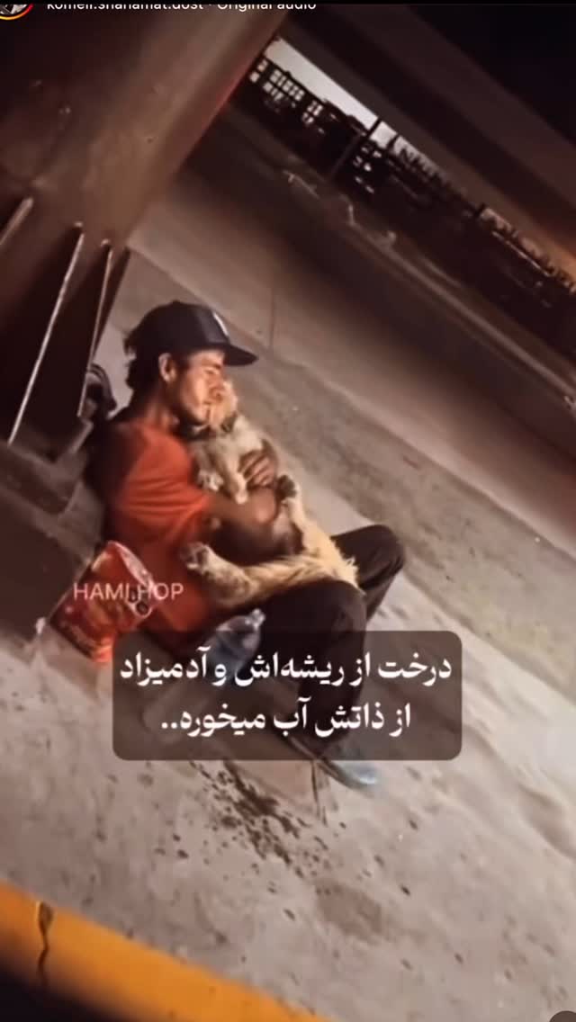  جدید ترین استوری اینستاگرام علیرضا نیکبخت