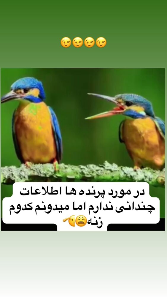 جدید ترین استوری اینستاگرام علیرضا نیکبخت
