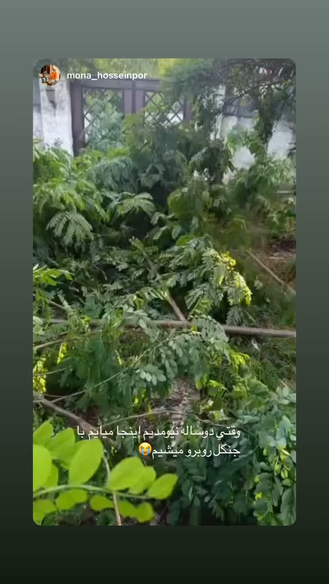  جدید ترین استوری اینستاگرام علیرضا نیکبخت