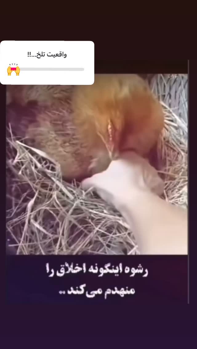  جدید ترین استوری اینستاگرام علیرضا نیکبخت