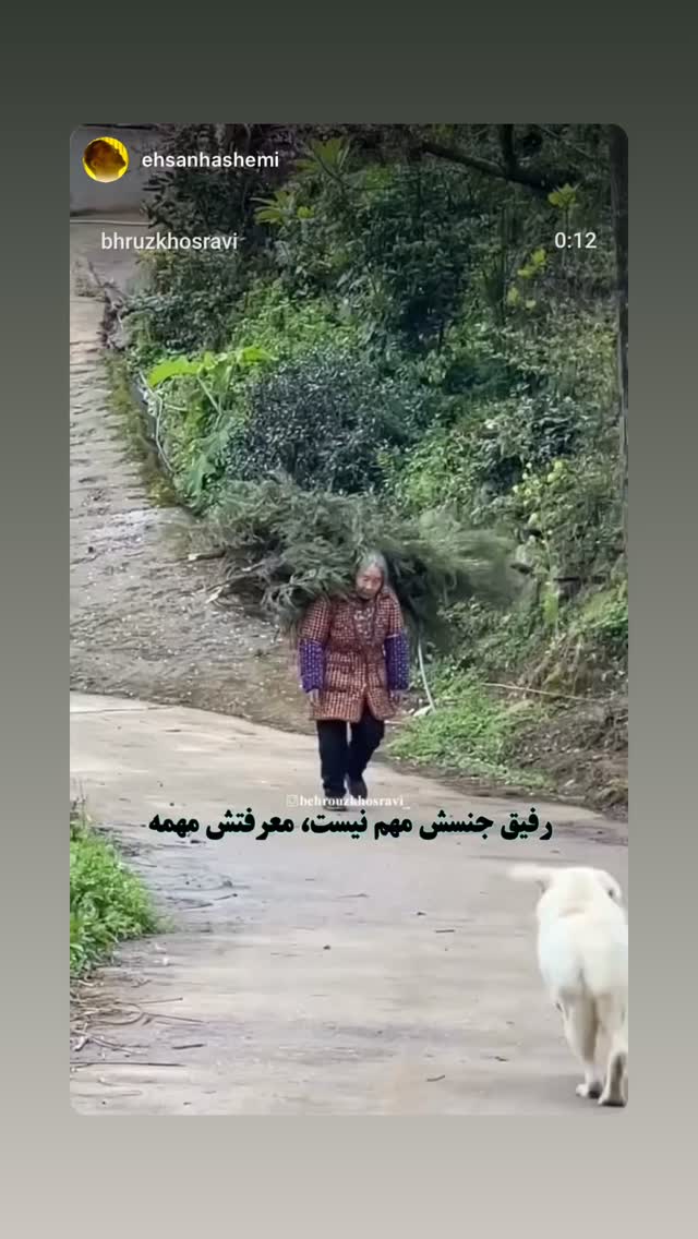  جدید ترین استوری اینستاگرام علیرضا نیکبخت