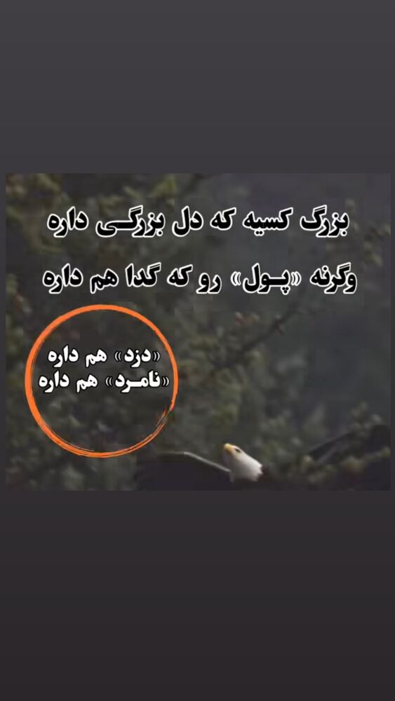  جدید ترین استوری اینستاگرام علیرضا نیکبخت