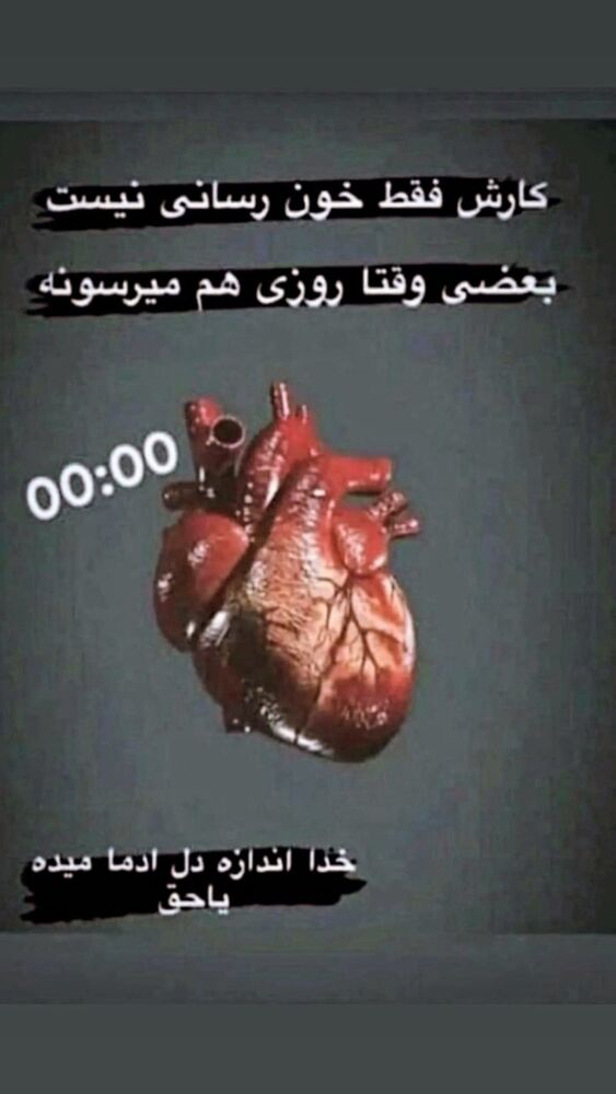  جدید ترین استوری اینستاگرام علیرضا نیکبخت