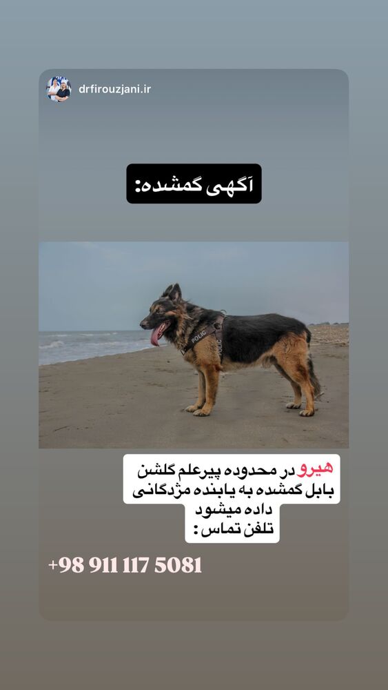  جدید ترین استوری اینستاگرام علیرضا نیکبخت