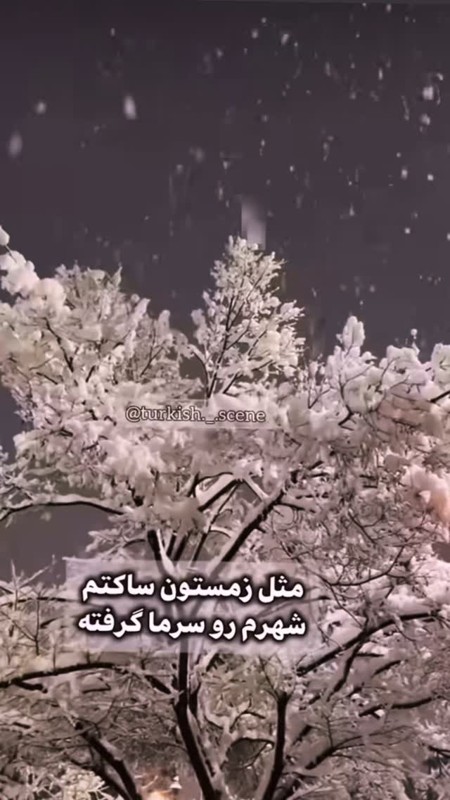  جدید ترین استوری اینستاگرام علیرضا نیکبخت