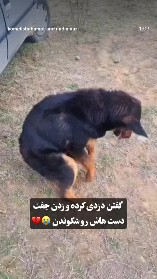  جدید ترین استوری اینستاگرام علیرضا استادی