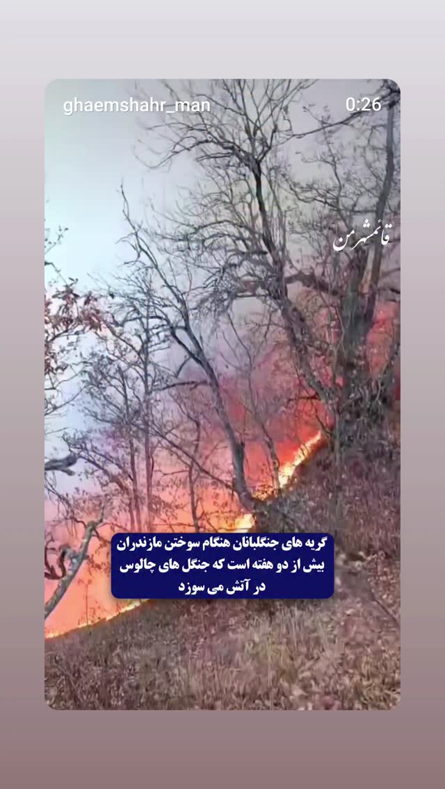  جدید ترین استوری اینستاگرام علیرضا استادی