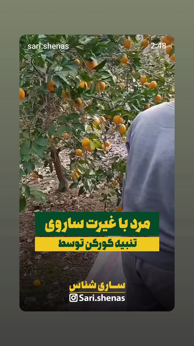  جدید ترین استوری اینستاگرام علیرضا استادی