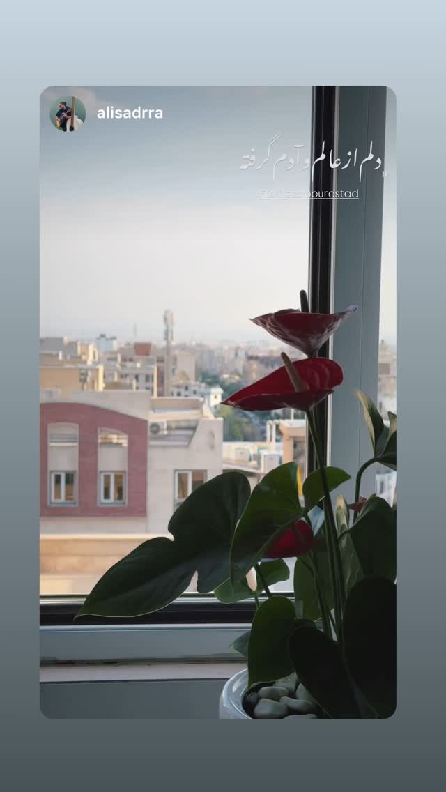  جدید ترین استوری اینستاگرام علیرضا پوراستاد