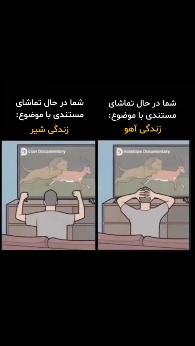  جدید ترین استوری اینستاگرام علی رکاب