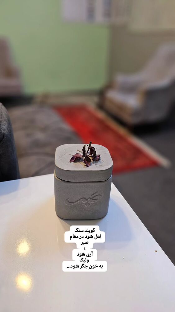  جدید ترین استوری اینستاگرام سید علی صدری نیا