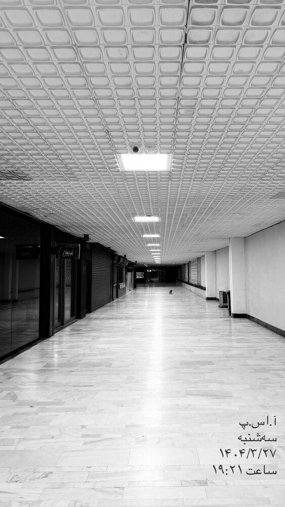  جدید ترین استوری اینستاگرام محمدعلی شادمان