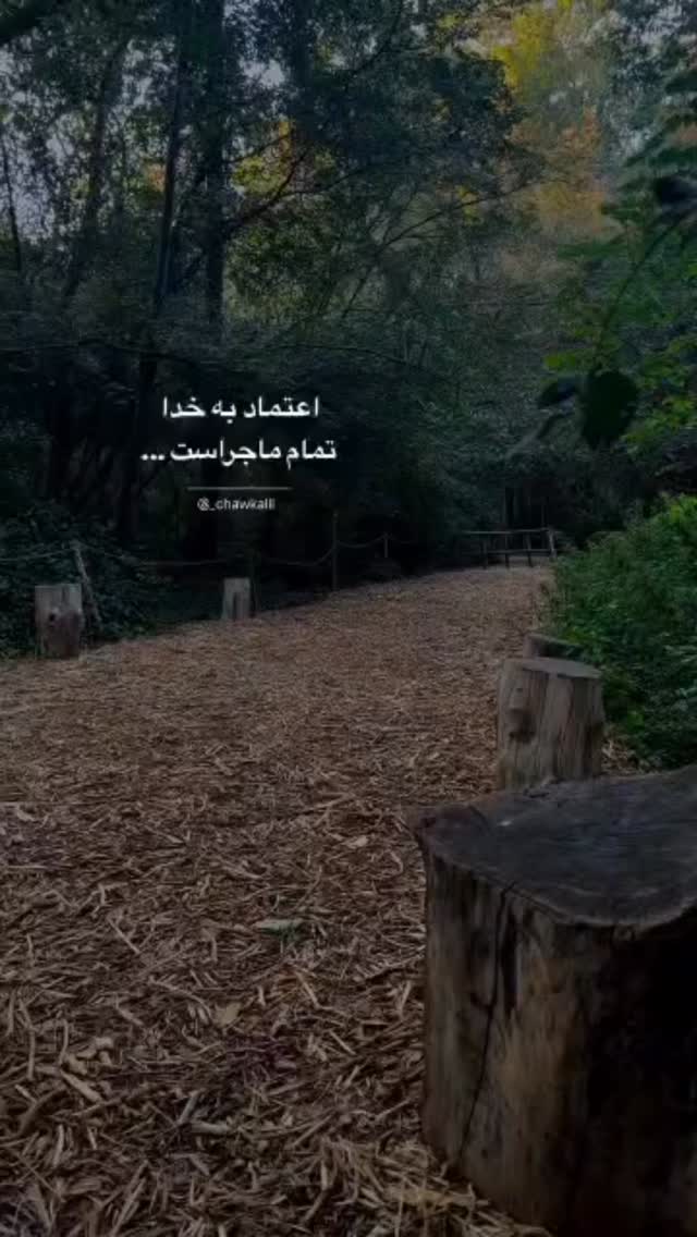  جدید ترین استوری اینستاگرام علی سخنگو