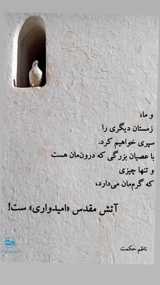  جدید ترین استوری اینستاگرام علی سخنگو