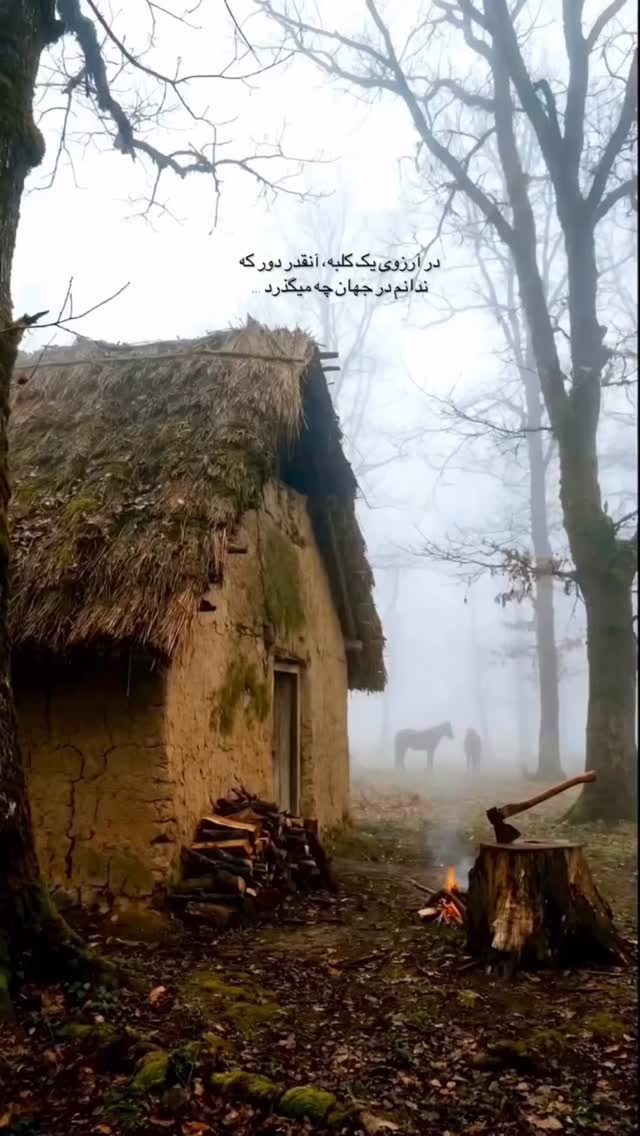  جدید ترین استوری اینستاگرام علی طاهری