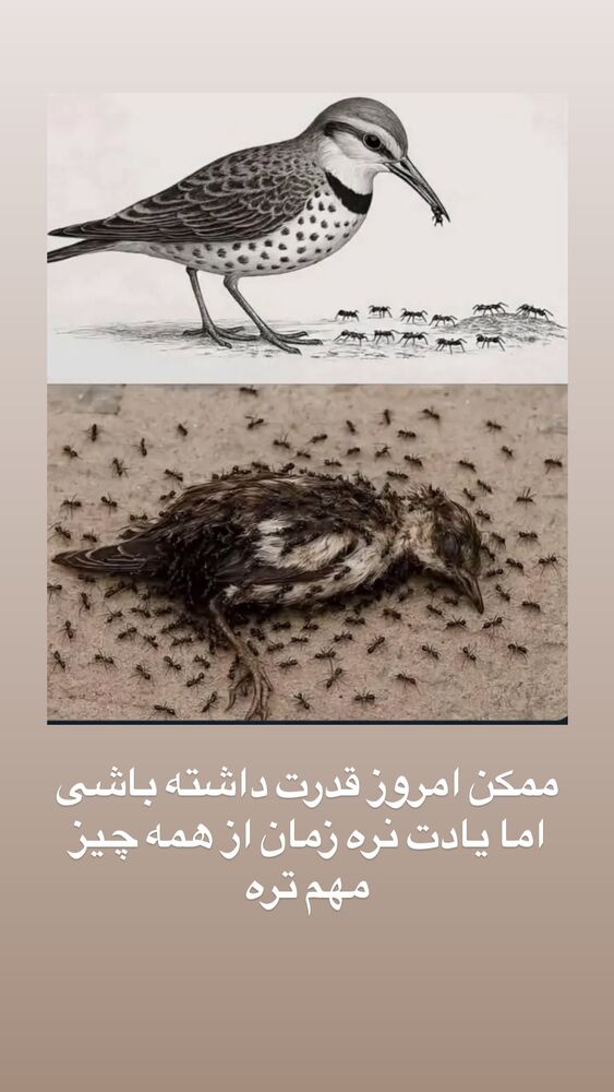  جدید ترین استوری اینستاگرام علی تاجداری