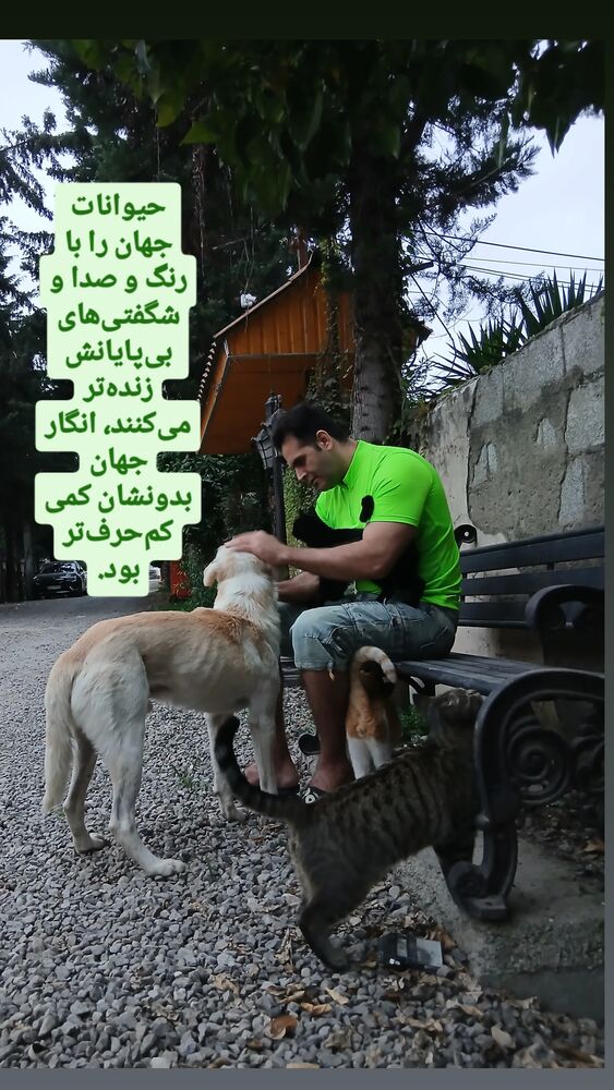  جدید ترین استوری اینستاگرام علی تاجداری