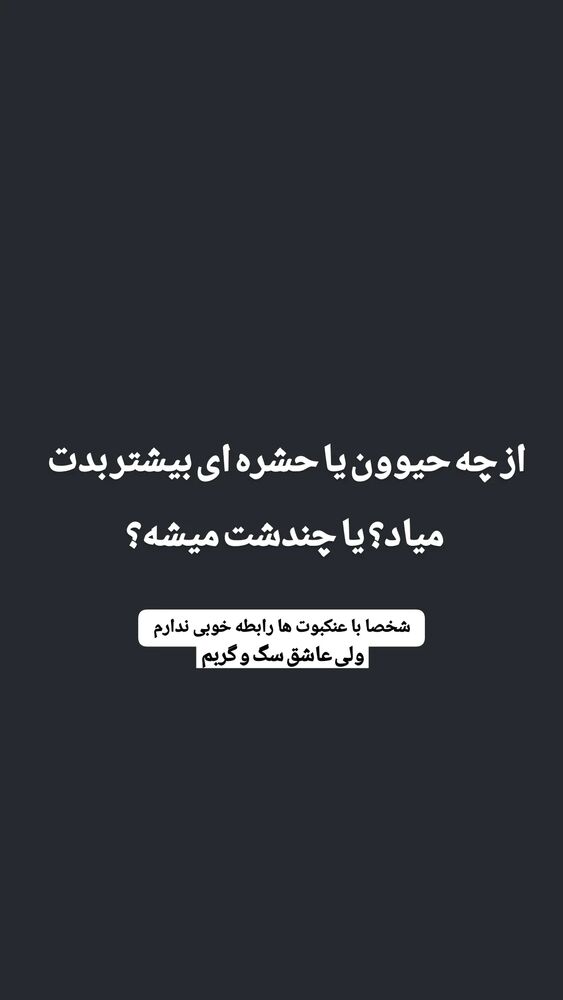  جدید ترین استوری اینستاگرام علی ضمیری