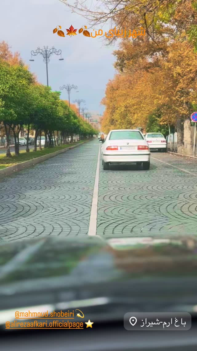  جدید ترین استوری اینستاگرام علی زندوکیلی