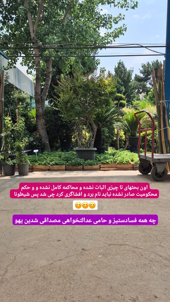 جدید ترین استوری اینستاگرام محمدامین سلیمی