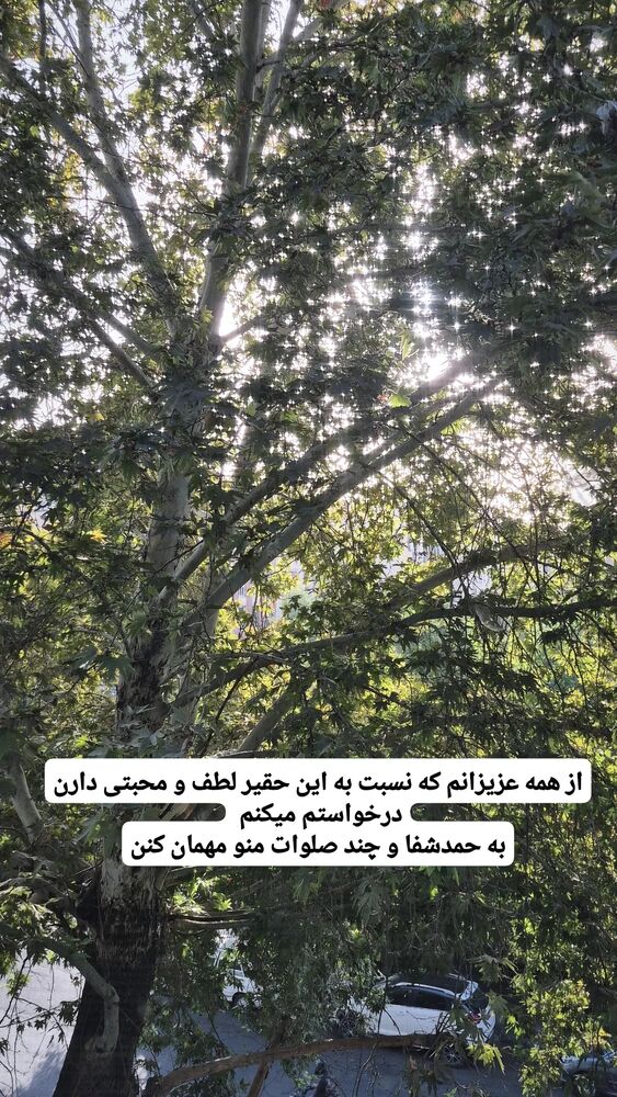  جدید ترین استوری اینستاگرام محمدامین سلیمی